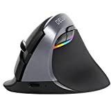 DELUX Kabellose vertikale Maus, leise kleine ergonomische Maus mit BT 5.0 und USB-Empfänger, 6 Tasten und 2400 DPI, wiederaufladbare RGB-Maus für Handgelenk- und Handbelastung, Karpaltunnel (M618mini-Eisengrau)