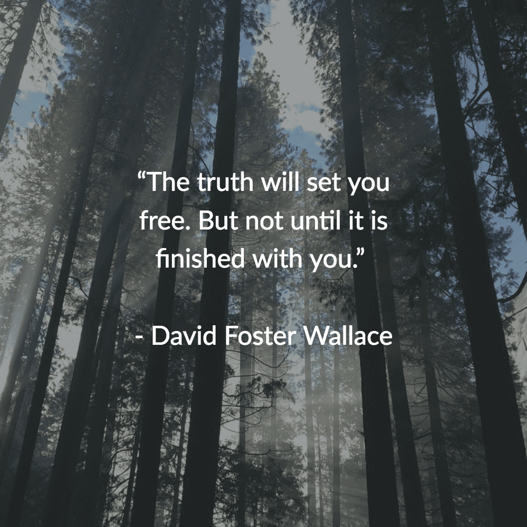 Citazione di David Foster Wallace