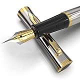 Ensemble stylo plume Wordsworth & Black, pointe moyenne, comprend 6 cartouches d'encre et convertisseur de recharge d'encre, étui cadeau, journal, calligraphie, stylos d'écriture lisse [argent doré], parfait pour homme et femme