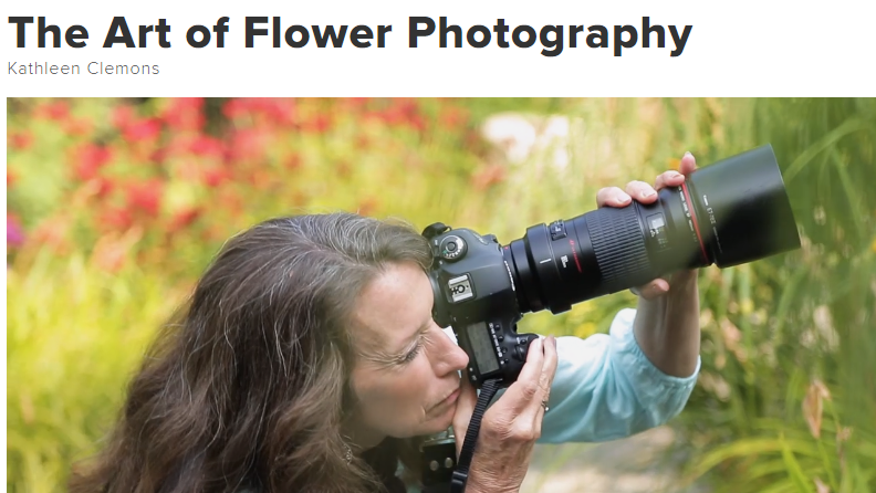 Cursos de fotografia CreativeLive: A arte da fotografia de flores por Kathleen Clemons