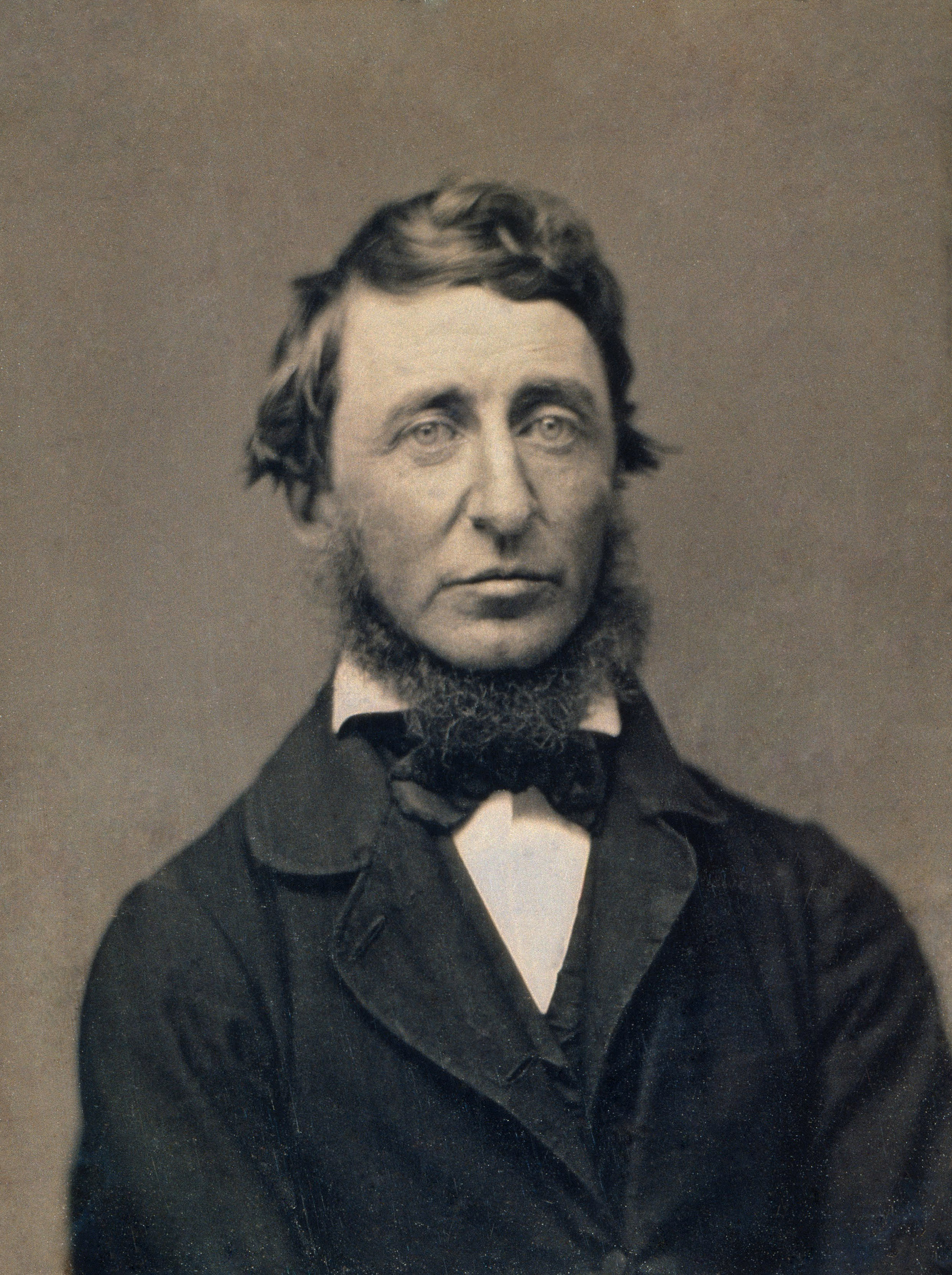 Mejores autores políticos: Henry David Thoreau