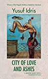 Ciudad de amor y cenizas: una novela