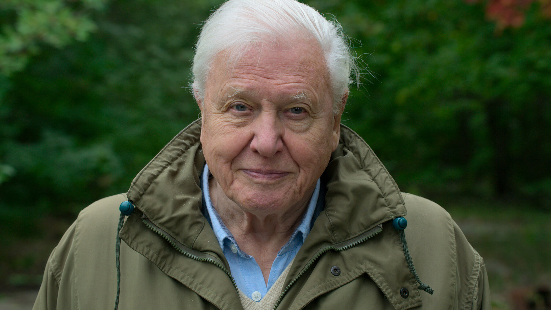 Meilleurs auteurs scientifiques : David Attenborough