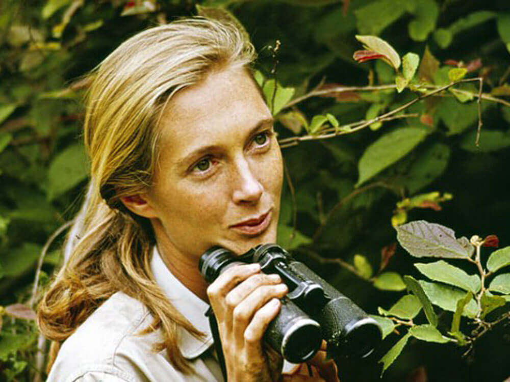 Najlepsi autorzy naukowi: Jane Goodall