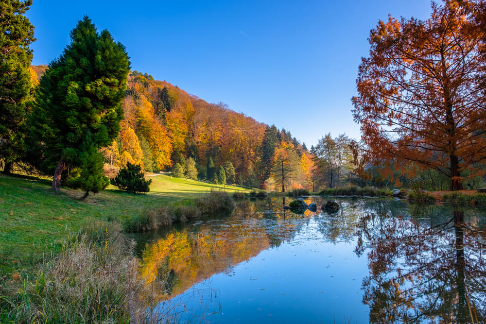 Ensayo sobre el otoño: mejores destinos o lugares favoritos en otoño