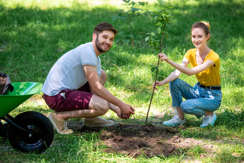 Saggio sulla bellezza della natura: attività che apprezzano la natura