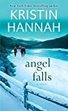 Angel Falls: un romanzo