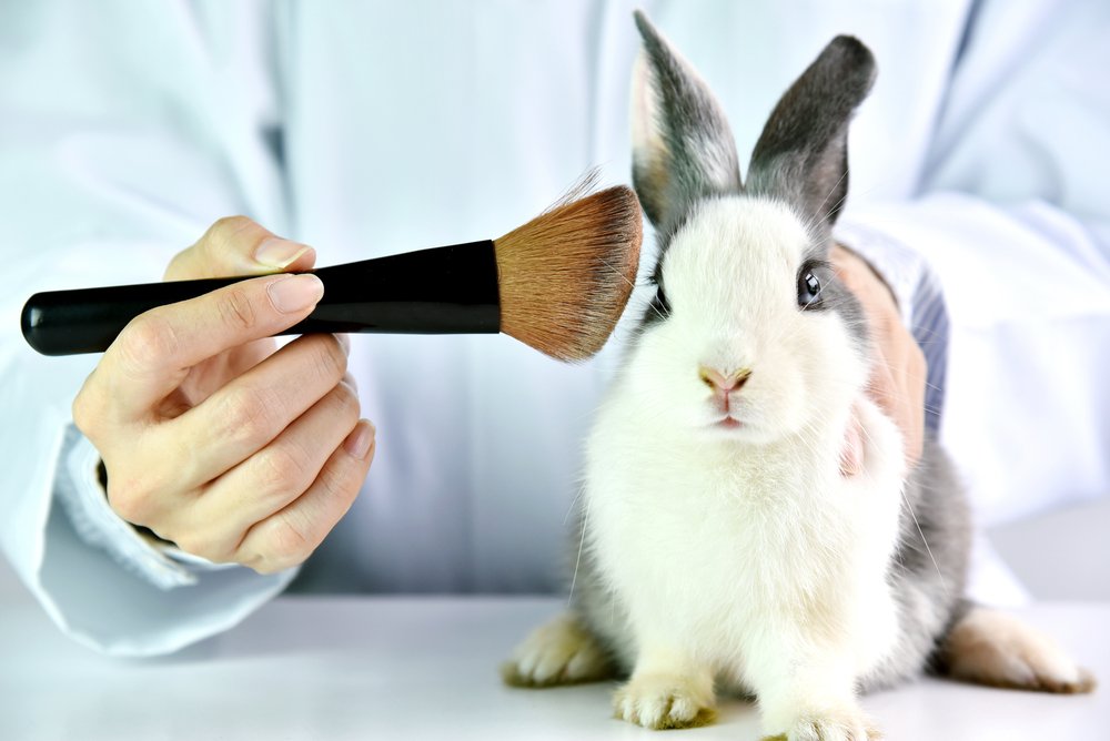 Quais produtos usam testes em animais?