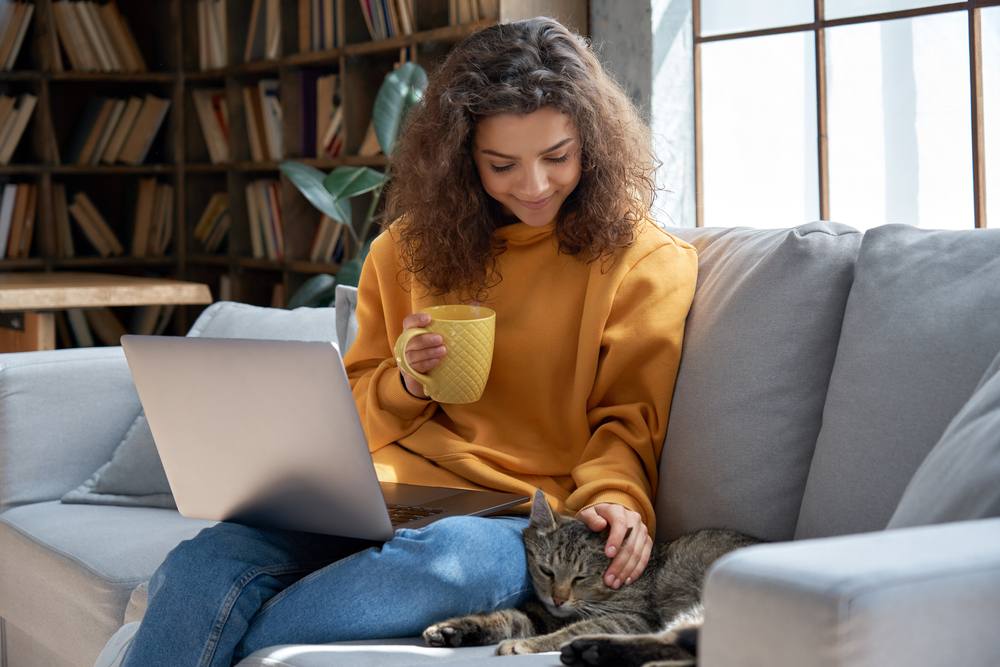 Cuidados com gatos em casa