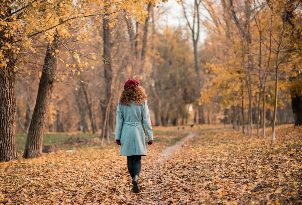 ¿Qué hacer durante el otoño?