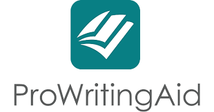 最佳連續句子檢查器：ProWritingAid