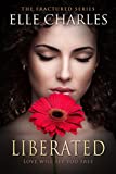 Libéré: un roman d'amour (The Fractured Series Book 3)