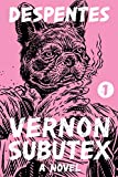 Vernon Subutex 1: un romanzo