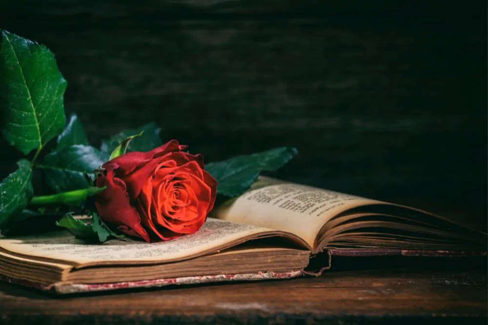 Vintage-Buch und Rose