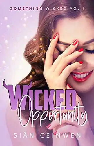 シアン・セインウェン著『Wicked Opportunity』の表紙