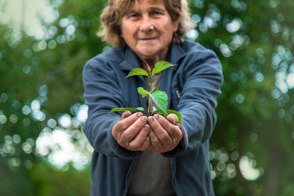 ¿Qué podemos hacer para mitigar la deforestación?