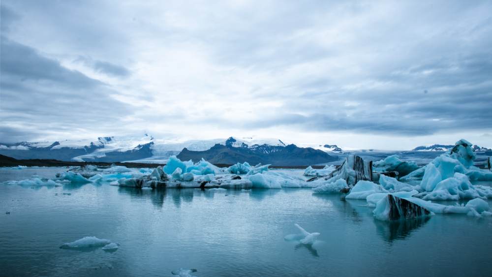 Wie wirkt sich der Klimawandel auf die Umwelt aus?