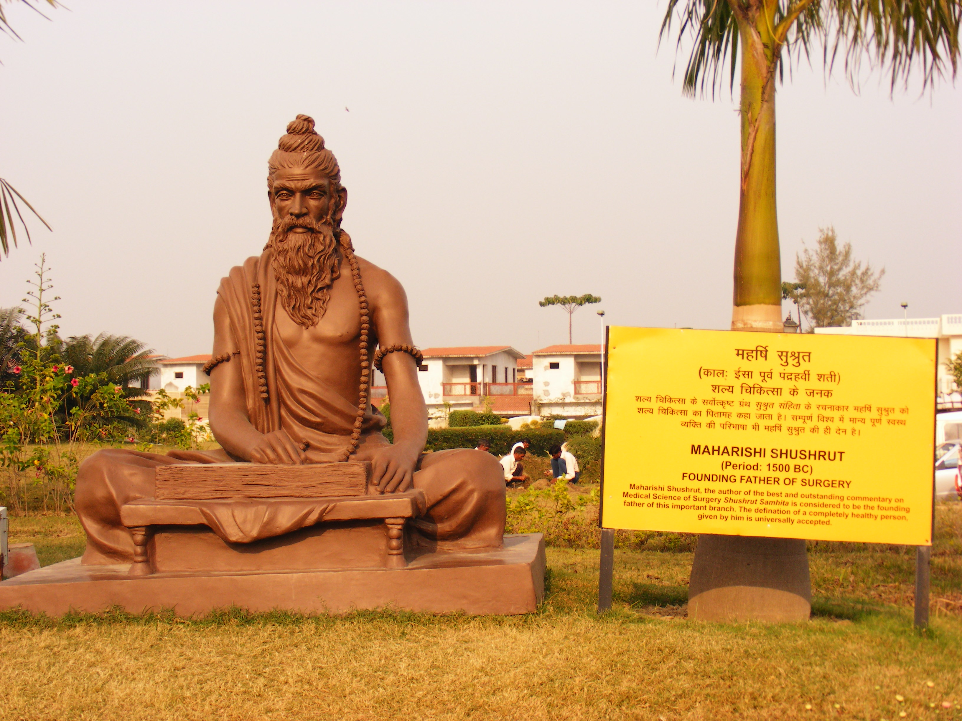 Sushruta